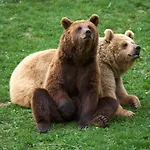 Апартаменты Cal Diputat -